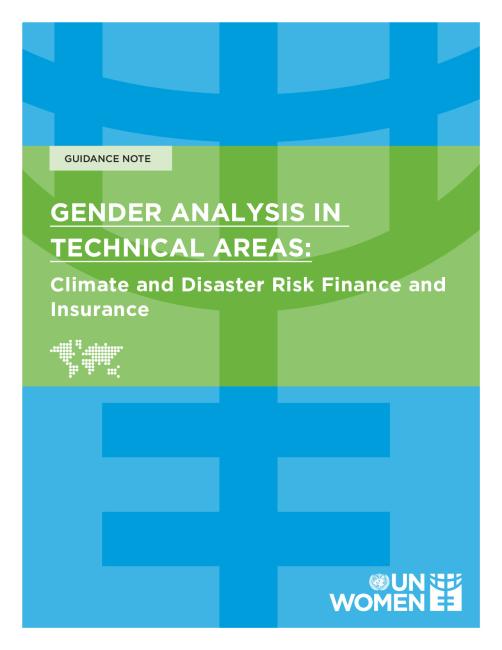 Gender Analysis in Technical Areas - Climate and Disaster Risk Finance and Insurance.pdf