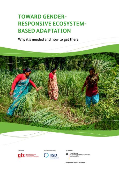 Toward gender responsive ecosystem-based adaptation.pdf