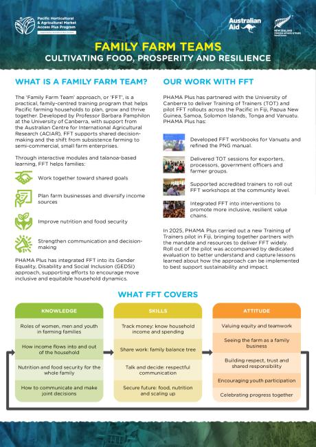 FFT_Factsheet Draft 09.pdf